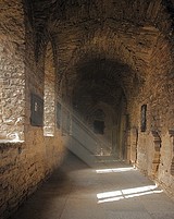 Tallinn Dominican Monastery